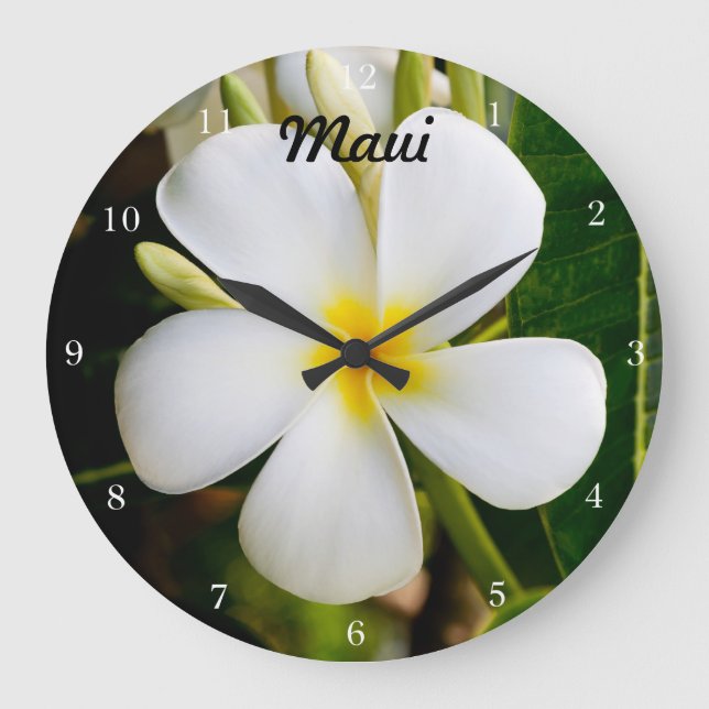 Hawaii Plumeria Large Clock (Front)