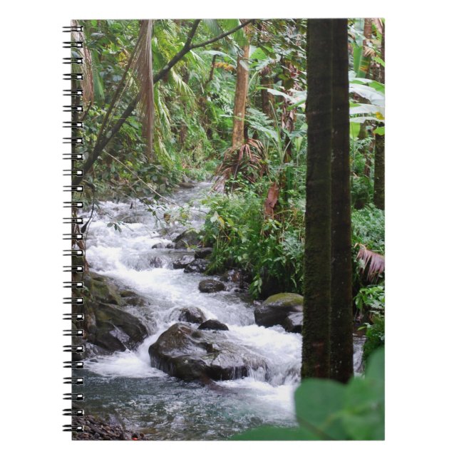 Hawaii Rainforest Spiral Notebook (Front)