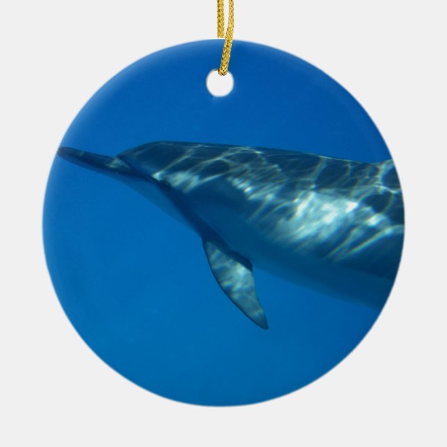 Hawaii Spinner Dolphin Ceramic Tree Decoration (Front)