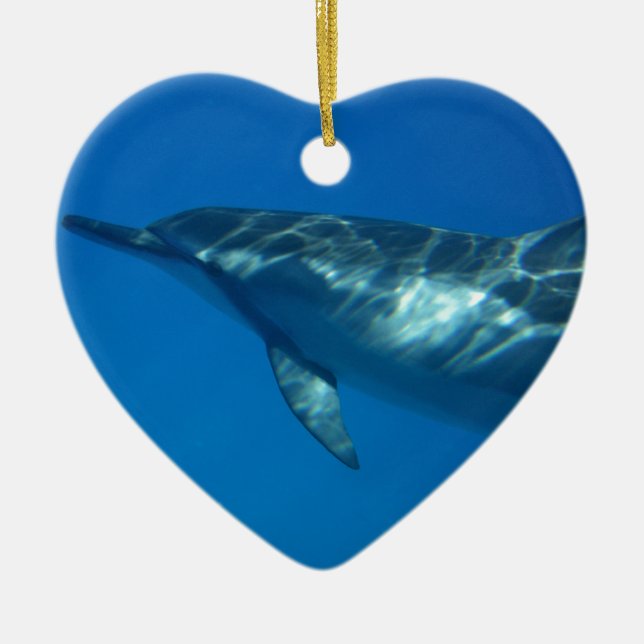 Hawaii Spinner Dolphin Ceramic Tree Decoration (Front)