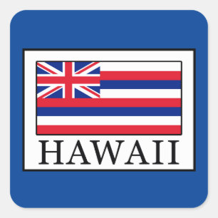 Hawaii Square Sticker