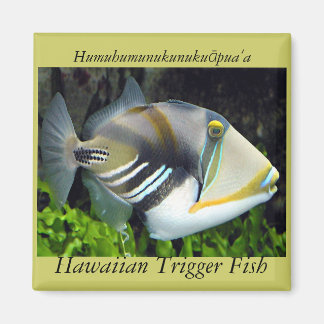 Hawaii state fish magnet
