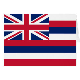 Hawaii State Flag