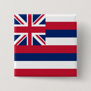 Hawaii State Flag 15 Cm Square Badge