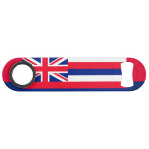 Hawaii State Flag Design