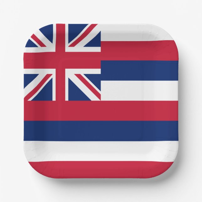 Hawaii State Flag Paper Plate (Front)