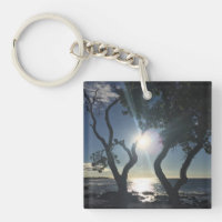 Hawaii Sunlit Trees Ocean Shore Colour Photography