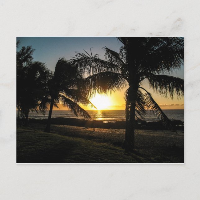 Hawaii Sunset Sharks Cove Postcard (Front)