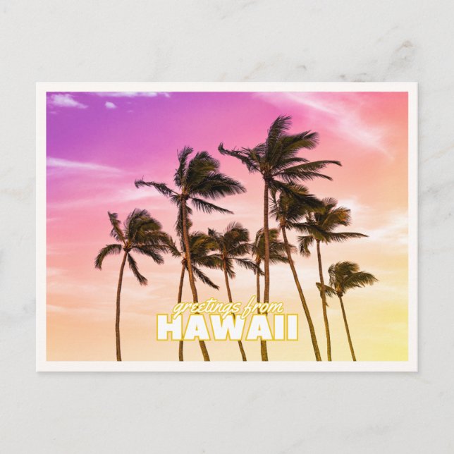Hawaii Sunset Tropical Palm Tree Hawaii Greetings Postcard (Front)