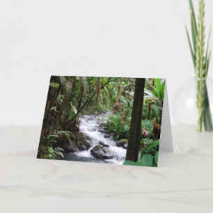 Hawaii the Big Island Card