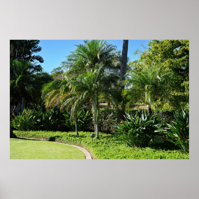 Hawaii Tree Poster (Front)