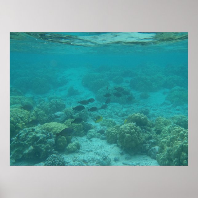 Hawaii tropical fish underwater scenic canvas poster (Front)