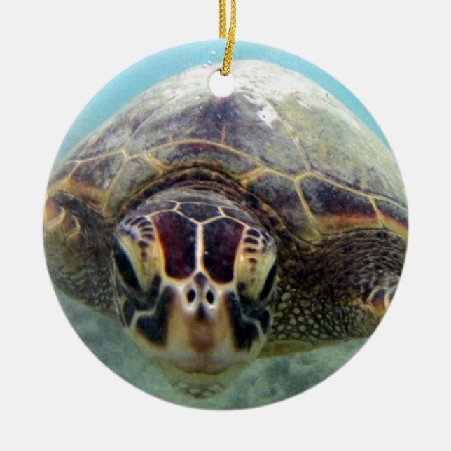 Hawaii Turtle Ceramic Tree Decoration (Front)