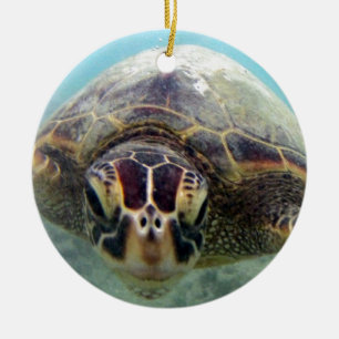 Hawaii Turtle Ceramic Tree Decoration