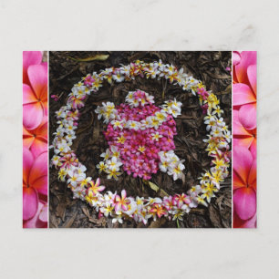 Hawaii Turtle Honu Plumeria Summer Flower Paradise Postcard