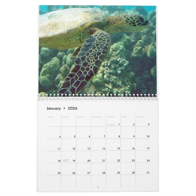 Hawaii Turtles Calendar (Jan 2026)