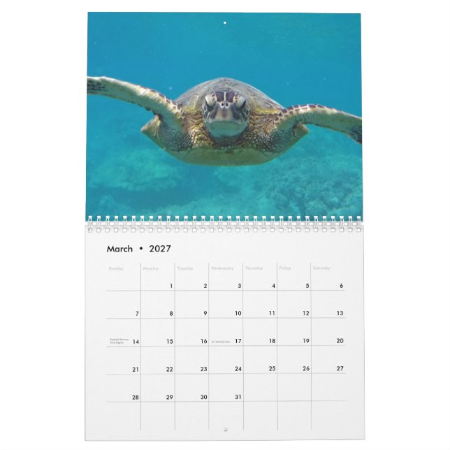 Hawaii Turtles Calendar (Mar 2027)