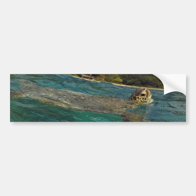 Hawaii Turtles - Honu Bumper Sticker (Front)