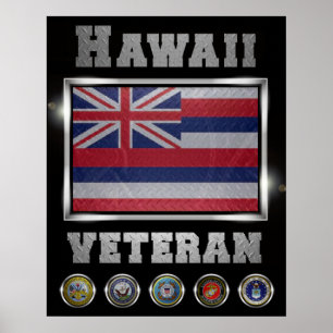Hawaii Veteran poster