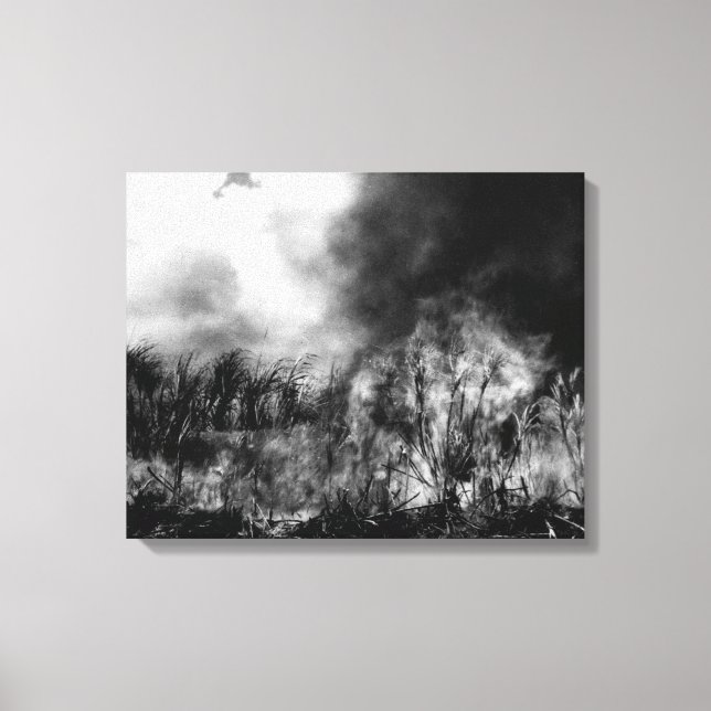 Hawaii - View of Sugar Cane Field on Fire Canvas Print (Front)