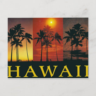 Hawaii Vintage Postcard