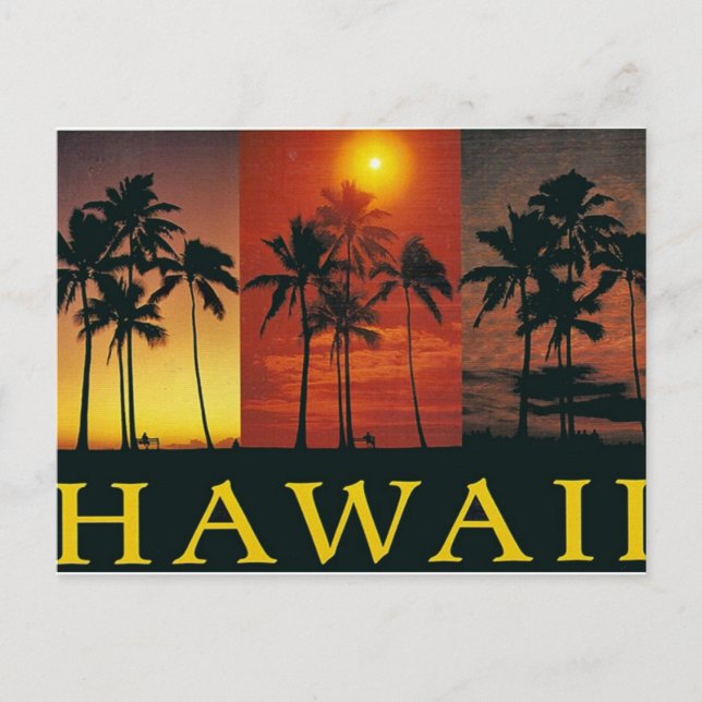 Hawaii Vintage Postcard (Front)