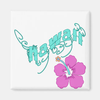 Hawaii with Hibiscus Products Magnet