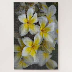 Hawaii Yellow Plumeria Jigsaw Puzzle