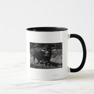 HawaiiA Water Buffalo PhotographHawaii Mug