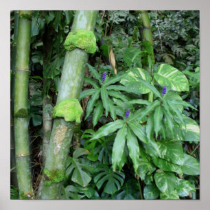 Hawaiian Bamboo and Blue Ginger Poster