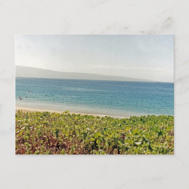 Hawaiian Beach I Postcard (Front)