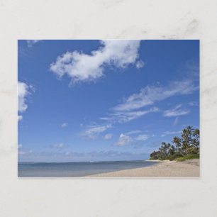Hawaiian beach with palm trees. postcard