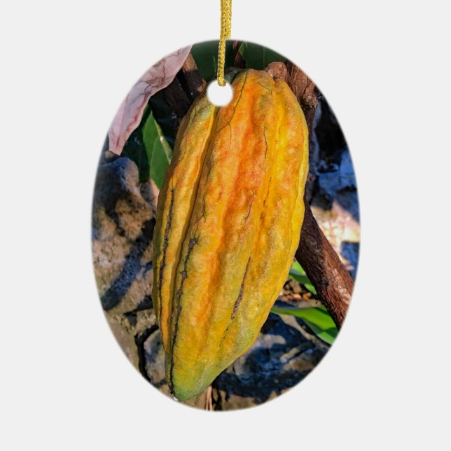Hawaiian Cacao Pod Ceramic Tree Decoration (Front)