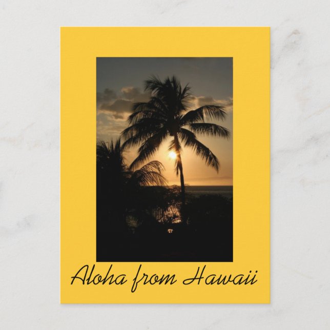 Hawaiian Coastline at Sunset Postcard (Front)