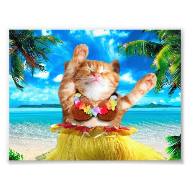 Hawaiian dancer cat photo print (Front)