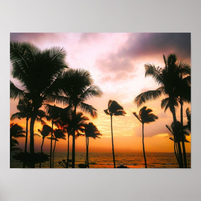 Hawaiian Exotic Beach Palm Trees Poster (Front)