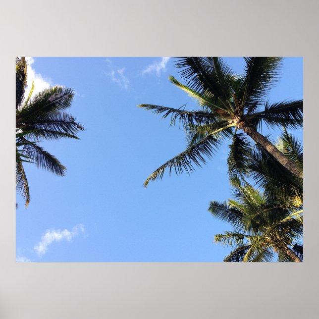 Hawaiian Exotic Beach Palm Trees Poster (Front)