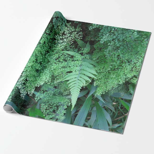 Hawaiian Ferns Wrapping Paper (Unrolled)