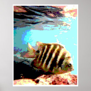 Hawaiian Fish Poster