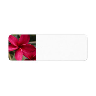 Hawaiian Flower Mailing Label