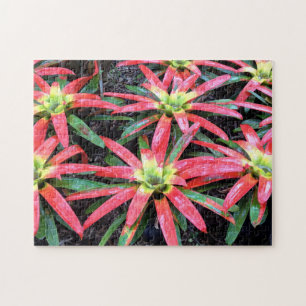 Hawaiian Flower Puzzle