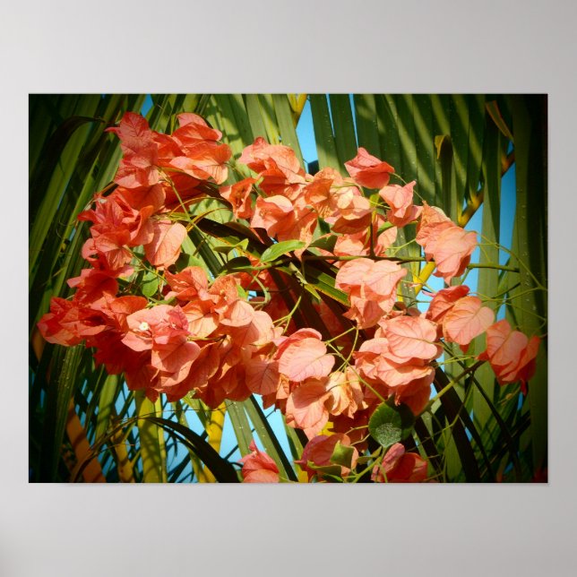 Hawaiian flowers poster print (Front)