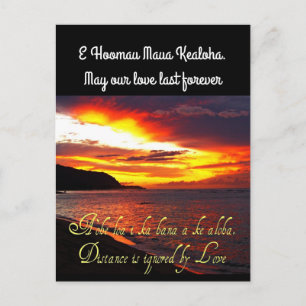 Hawaiian forever Love Postcard