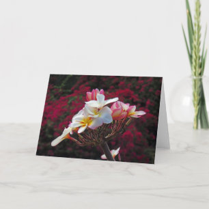 Hawaiian Frangipani Card