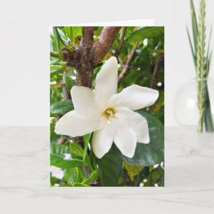 Hawaiian Gardenia Card