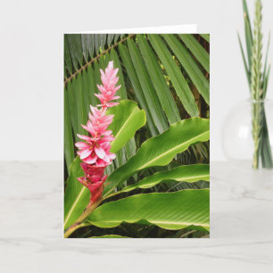 Hawaiian Ginger Card