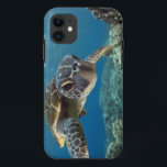 Hawaiian Green Sea Turtle iPhone 11 Case<br><div class="desc">A Hawaiian gree sea turtle investigates his reflection in my dome port. © and ® Bigstock® - All Rights Reserved.</div>