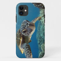 Hawaiian Green Sea Turtle