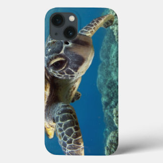 Hawaiian Green Sea Turtle iPhone 13 Case