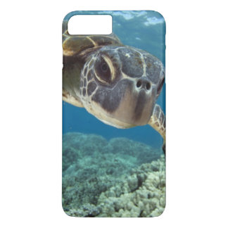 Hawaiian Green Sea Turtle Case-Mate iPhone Case